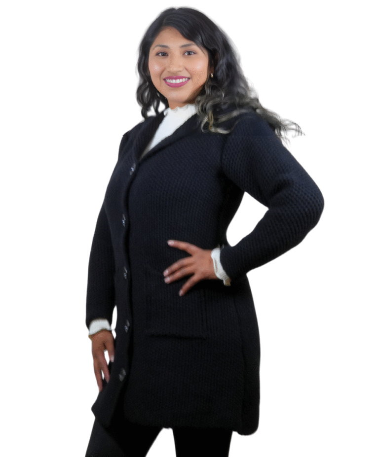 Agregar un subtítulo (4)